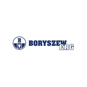 Płyn chłodniczy borygo - Produkty wirusobójcze  - Boryszew ERG